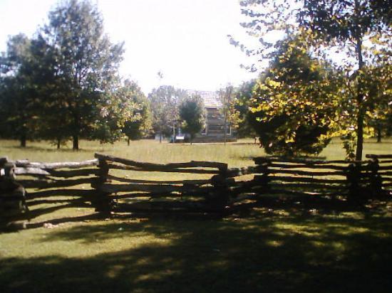 Georgia Cherokee